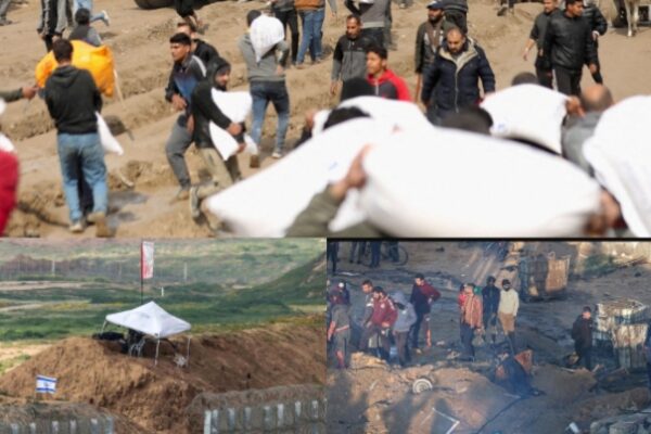 In Gaza, Over 29,000 Palestinians reportedly killed in Israel-Hamas war