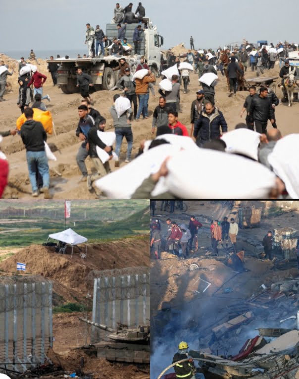 In Gaza, Over 29,000 Palestinians reportedly killed in Israel-Hamas war