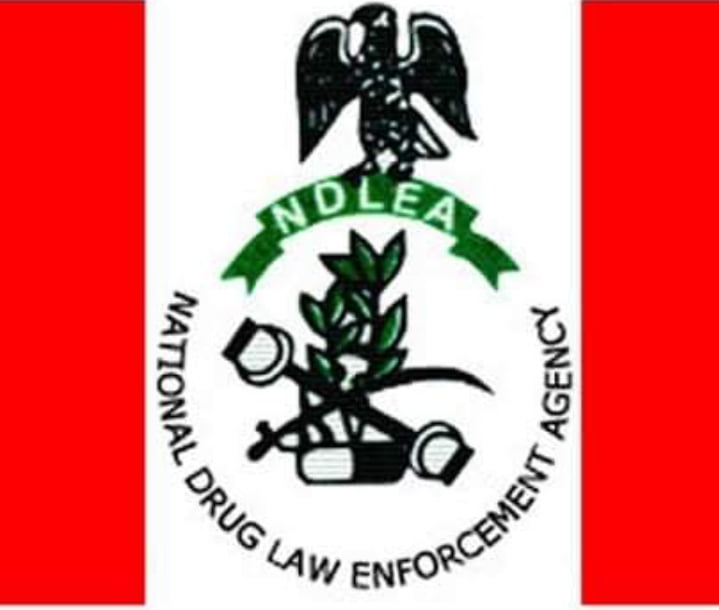 The National Drug Law Enforcement Agency, NDLEA