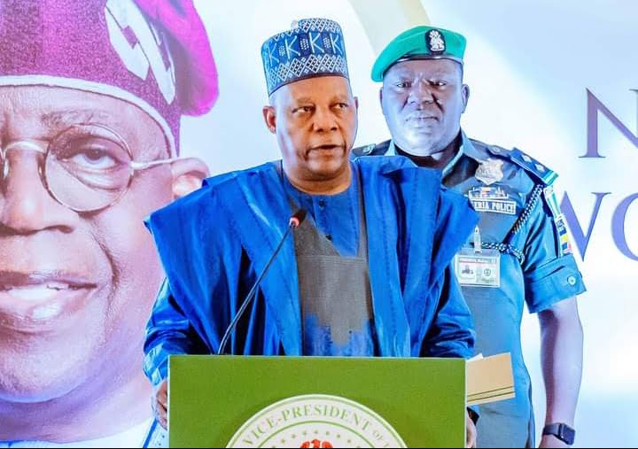 Vice-President Kashim Shettima