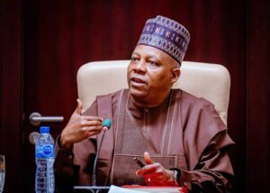 Vice-President Kashim Shettima