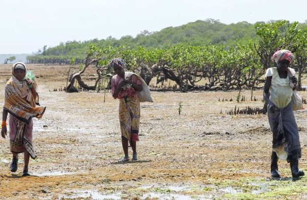 African battling with impact of climate change