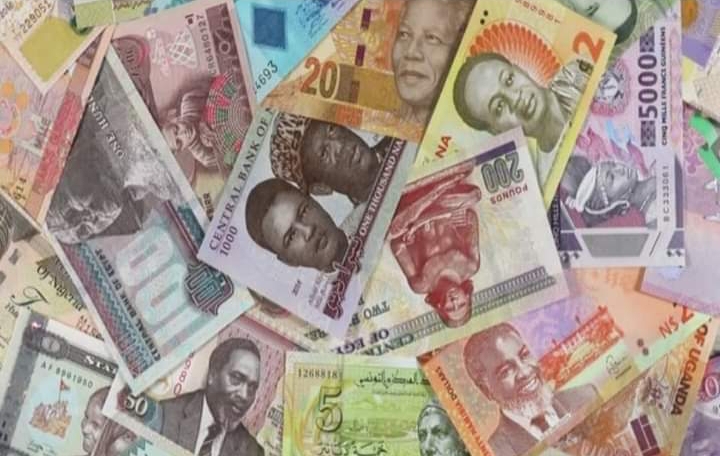 African currencies