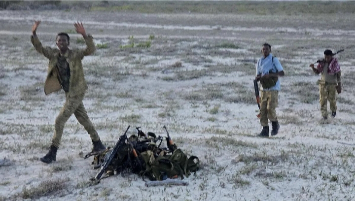 Jubaland forces have secured successes around Raskambooni, causing hundreds of Somalia National Army soldiers to surrender or flee across the Kenyan border.