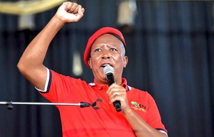 South African EFF Party leader Julius Malema