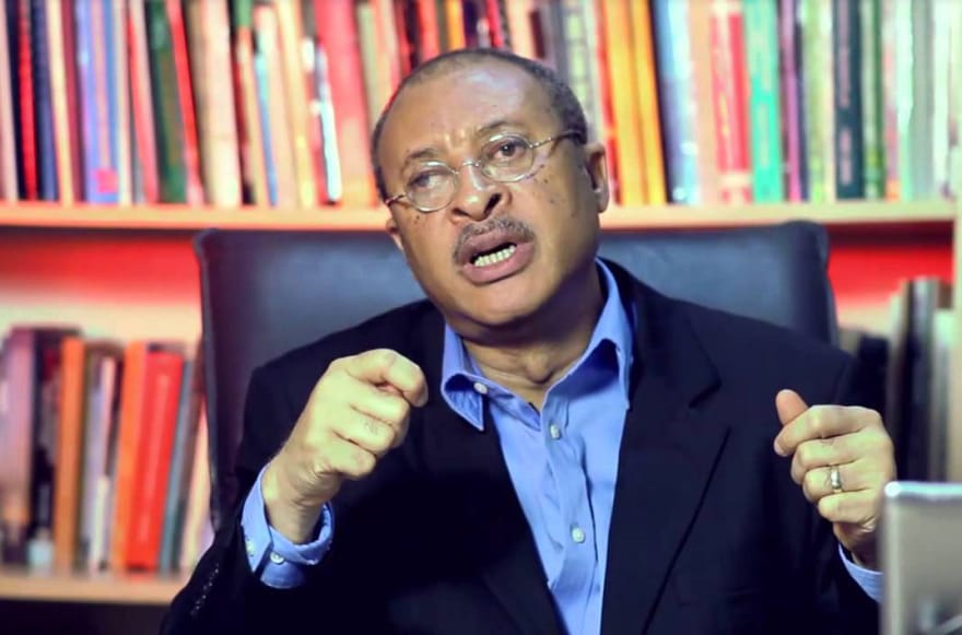 Professor Patrick Utomi, Professor of Economy and Politician