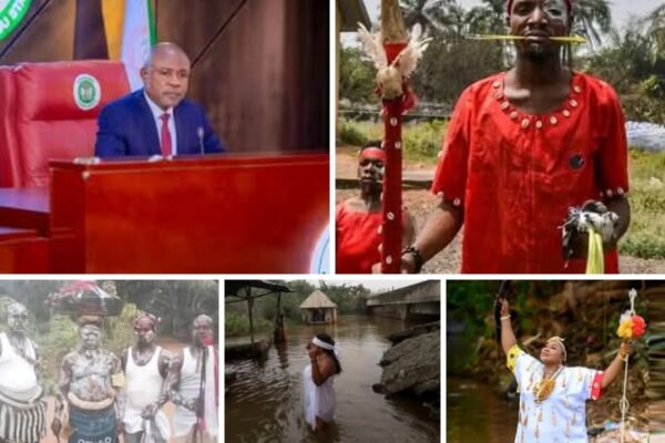 Enugu Govt to regulate unlicensed herbalists and traditional healers