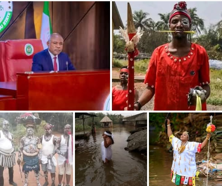 Enugu Govt to regulate unlicensed herbalists and traditional healers