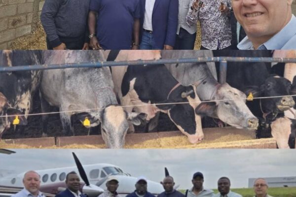 Oborevwori seeks partnership with Brazilian farmers, sends delegation to visit ranchers