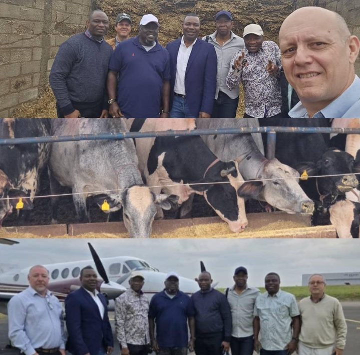 Oborevwori seeks partnership with Brazilian farmers, sends delegation to visit ranchers