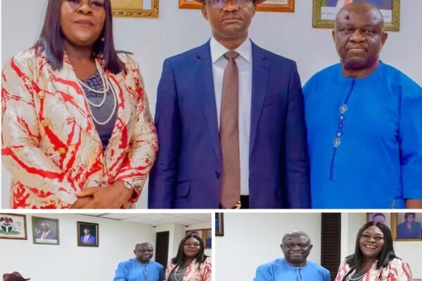 Ojji Retires as Macaulay Takes Over at Delta Information Ministry