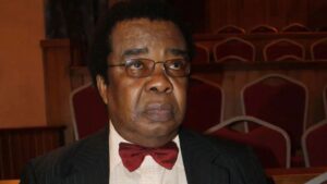 Renowned Nigerian diplomat and former Minister of External Affairs, Professor Bolaji Akinyemi