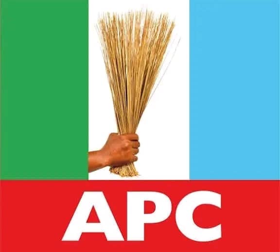 The All Progressives Congress (APC)
