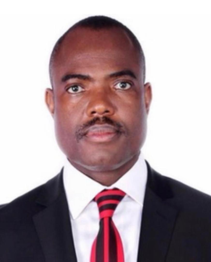 Dr. Godwin Adolor, FCIB, the Delta State Coordinator of the Made in Nigeria Project