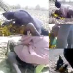 Outrage as Suspected Bandits Release Videos Allegedly Showing Abuse, rapping of Kidnap Victims