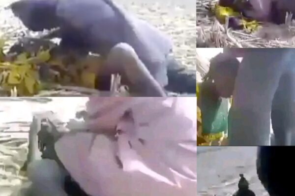 Outrage as Suspected Bandits Release Videos Allegedly Showing Abuse, rapping of Kidnap Victims