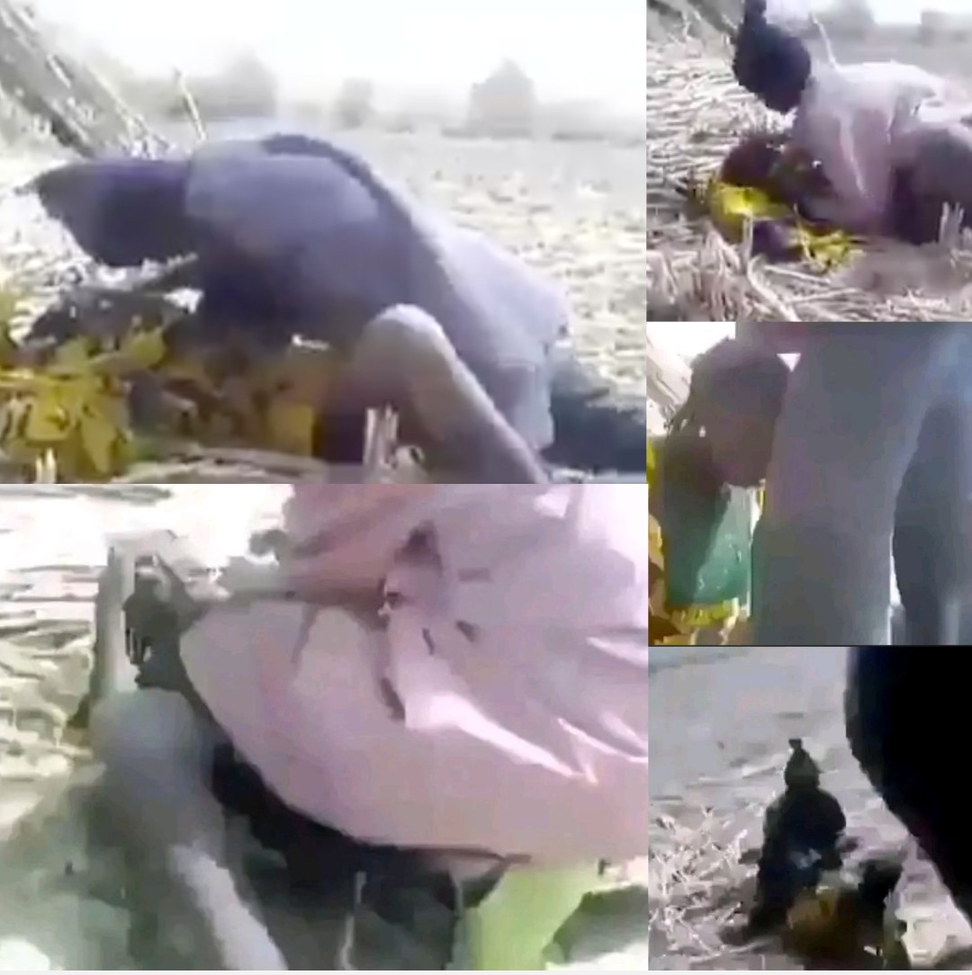 Outrage as Suspected Bandits Release Videos Allegedly Showing Abuse, rapping of Kidnap Victims