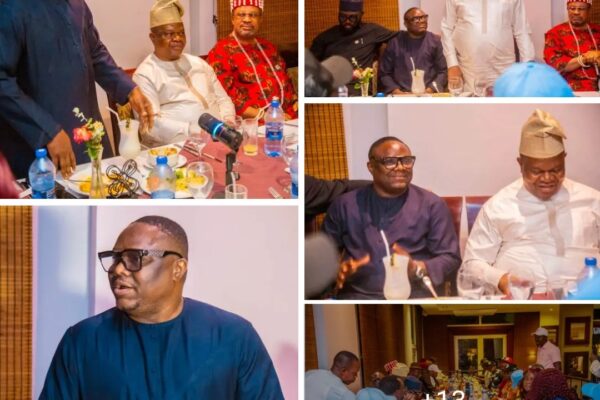 Guests at APC Youth Network West Africa farewell dinner