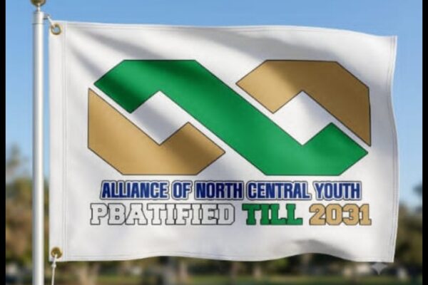 Alliance of North Central Youth (ANCY)