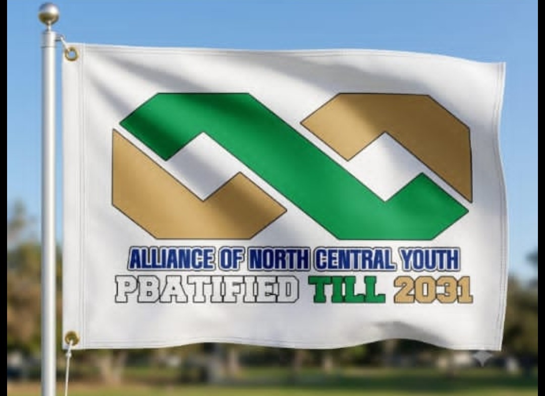 Alliance of North Central Youth (ANCY)